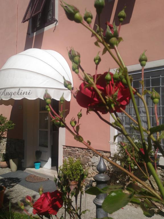 Angelini Dal 1911 Hotel Лука Екстериор снимка